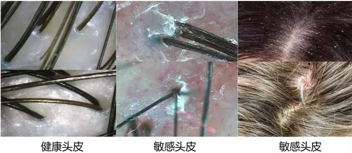 图片11.png